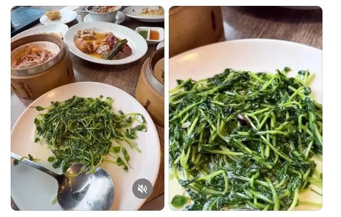 ▲京星港式飲茶爆出食安爭議，有網友在菜裡吃到蟑螂。（圖／截自Threads goose.8247303）