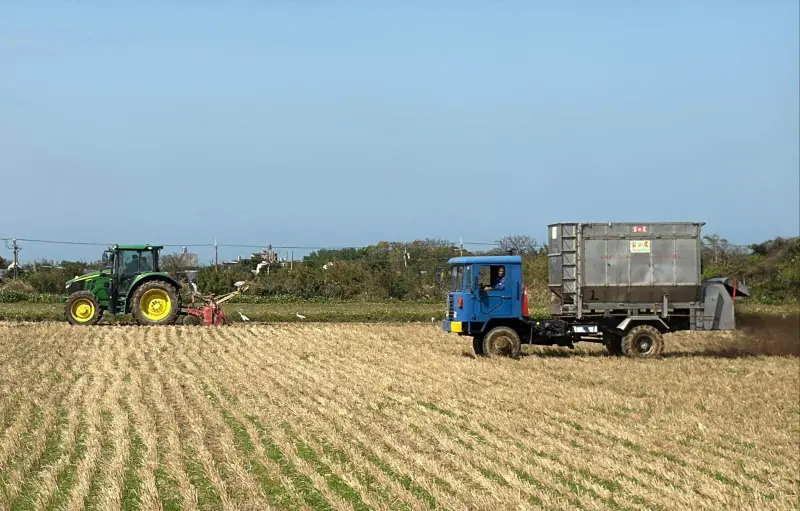 ▲以大型機具進行有機質肥料撒佈到翻耕，相較傳統人工或小型機具施肥方式，可省去好幾天的工時。（圖／業者提供）