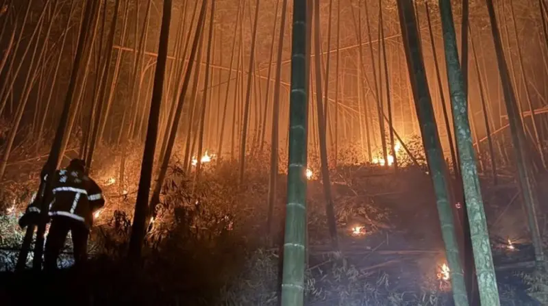 ▲雲林古坑草嶺村石壁、九芎神木後方29日晚傳山林火警，消防出動多分隊查處。（圖／翻攝畫面）