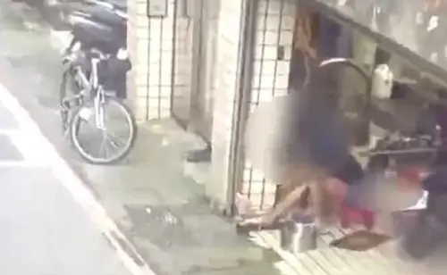 民眾報案新店有人殺狗　警方查出竟是1男對果子狸「斬首」
