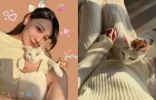 ▲謝京穎發文分享兩隻愛貓在她懷孕後的超有靈性舉動。（圖／謝京穎 Orange FB）