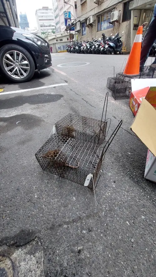 ▲傳出今年國內首例染漢他病毒死亡，北市衛生局設置補鼠籠。（圖／北市衛生局提供）