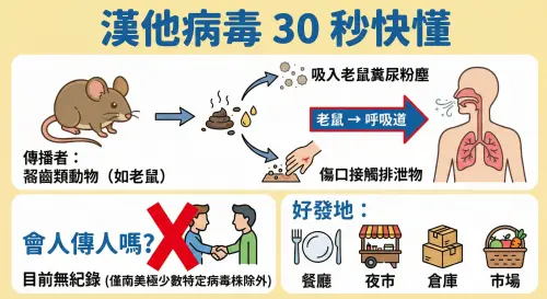 ▲漢他病毒重點快速掌握：了解主要傳播媒介為老鼠，並釐清目前台灣尚無「人傳人」病例紀錄，防疫重點在於環境清潔。（圖／由 AI 生成、記者徐銘穗製作）