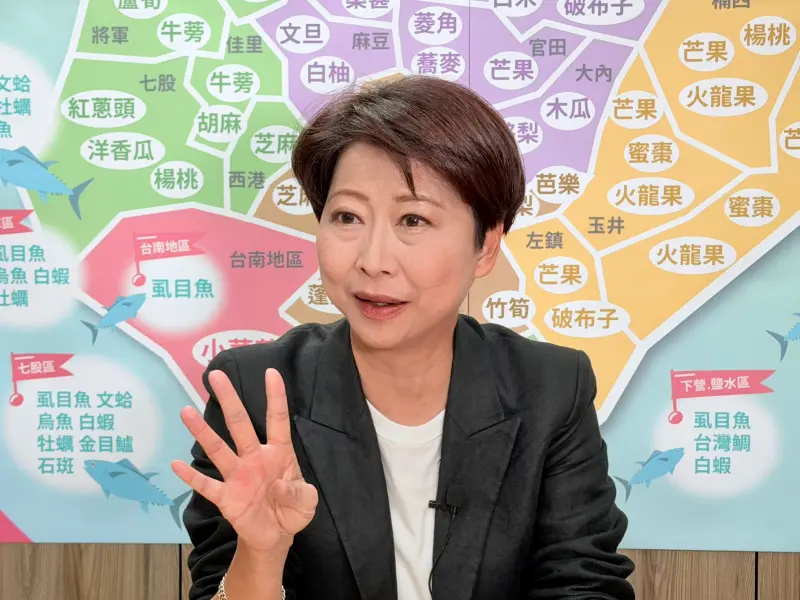 ▲陳亭妃表示，現在的選舉，已不是揮揮黨旗就能當選的年代。（圖／記者嚴俊強攝）