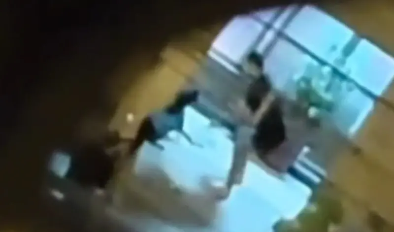 ▲台中市一名飼主半夜回家時被自己養的小黑咬傷，氣得拿起鐵條瘋狂揍狗。（圖／翻攝江和樹臉書，2026.01.31）