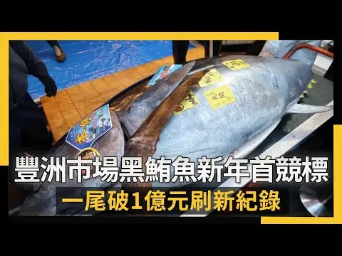 豐洲市場黑鮪魚新年首競標 一尾破1億元刷新紀錄|NOWNEWS #cc字幕