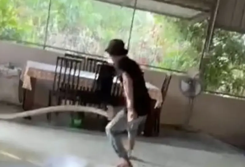 ▲男子手持鐮刀與昂首吐信的眼鏡王蛇對峙，場面相當驚險。（圖／翻攝自中國報）