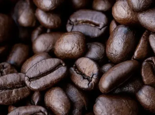 越南黑心工廠大豆混充咖啡粉　四噸假貨全流入市面遭警查獲
