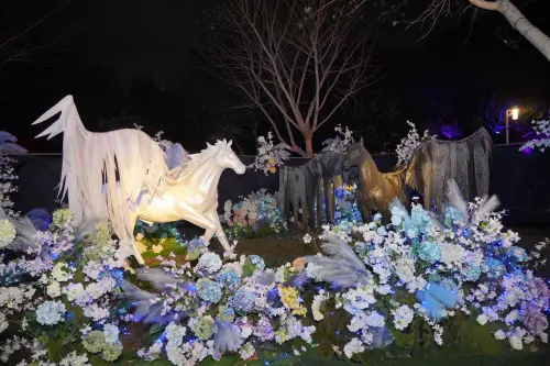 中台灣燈會　「驚蟄界」沉浸雨林2/15搶先曝光
