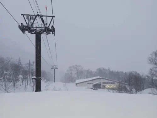 日本滑雪場驚傳意外！22歲澳洲女纜車卡背包　懸空被拖行身亡
