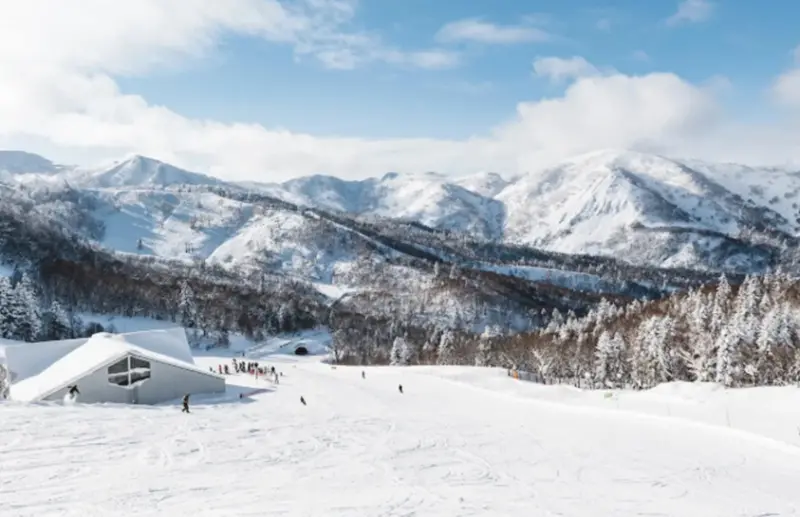 ▲台灣夫妻在北海道知名kiroro滑雪道偏離，電話求救後被巡邏隊尋獲。（圖／翻攝自kiroro.co.jp）