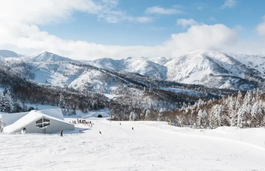 ▲台灣夫妻在北海道知名kiroro滑雪道偏離，電話求救後被巡邏隊尋獲。（圖／翻攝自kiroro.co.jp）