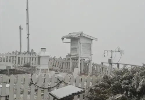玉山又下雪了！今入夜氣溫探零下1度　「銀白世界」美景超夢幻
