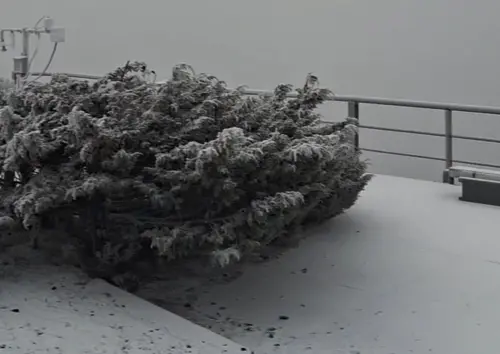 ▲玉山今日清晨6時出現銀白色下雪美景，戶外地板都染上雪白色，畫面美不勝收。（圖／中央氣象署提供cwa.gov.tw）