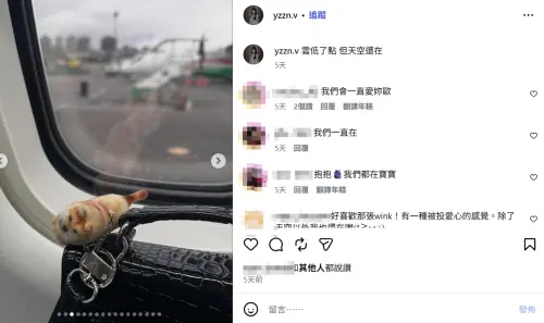 ▲梓蛋5天前發文貼出搭機照片，疑似飛往台東見袁惟仁最後一面。（圖／梓蛋IG@yzzn.v）