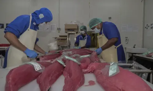 印尼海鮮外銷加速擴張！台韓訂單續升溫　711家對台核准成新引擎
