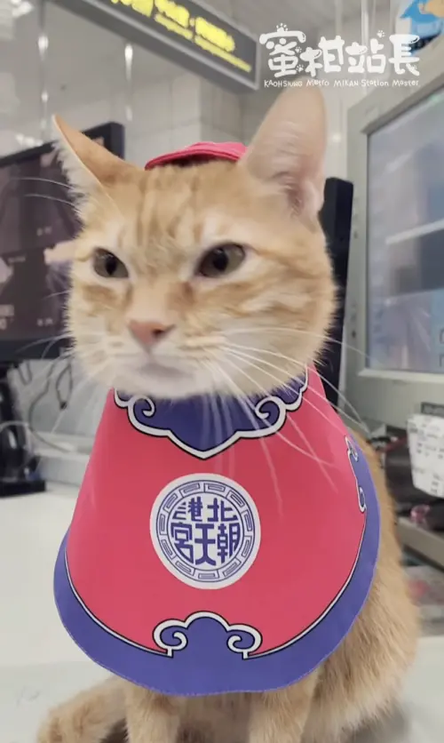 ▲（圖／翻攝自Threads@krtcmikan）