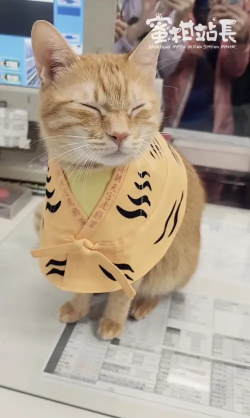 ▲（圖／翻攝自Threads@krtcmikan）