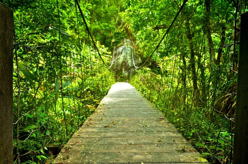 ▲太魯閣國家公園管理處表示，受震災影響而關閉的天祥遊憩區的綠水步道、綠水文山步道，確定2月起部分開放。鄰近的太魯閣晶英酒店也推出相關活動。（圖／太魯閣晶英提供https://taroko.silksplace.com/tw/index）