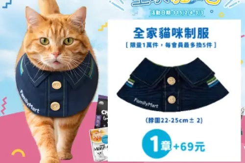 送貓去打工！全家「貓咪制服69元」開賣搶空　官方揭下波補貨時間
