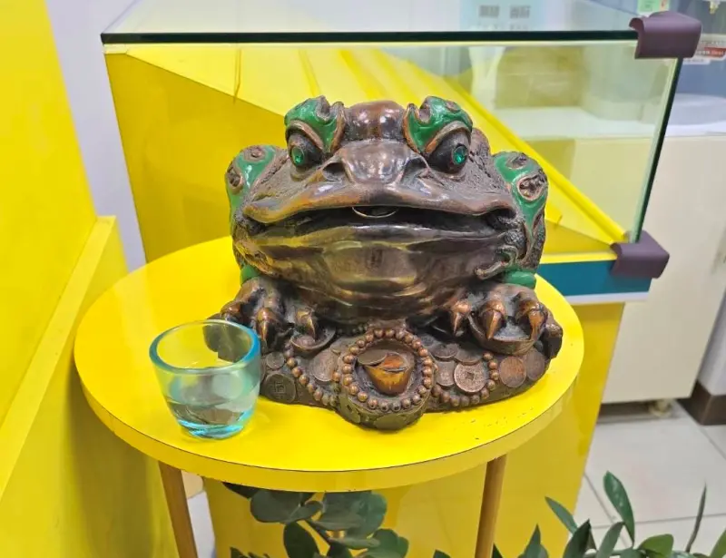 ▲新北市汐止一家彩券行店內有擺放「招財蟾蜍」，結果一日連續被刮出會100萬及10萬大獎，其中一位中獎人因出車禍想轉換心情，買了2張「2000萬超級紅包」，結果中百萬元。（圖／台灣彩券公司提供）