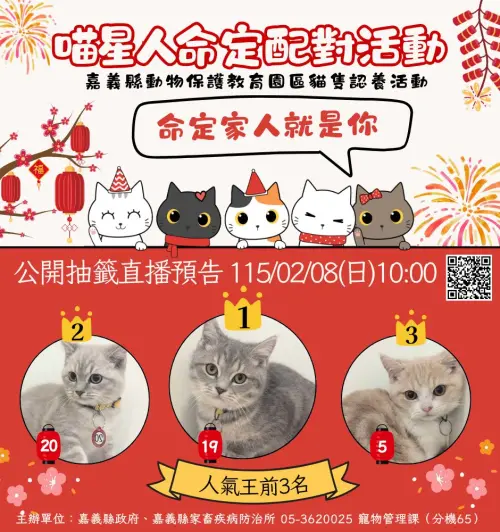 ▲嘉義縣舉辦「喵星人命定配對活動」活動，將在2月8日上午10時透過官方臉書直播抽出幸運飼主。（圖／嘉義縣家畜疾病防治所臉書）