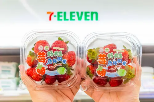 ▲「新鮮美姬草莓」自2月9日起於北部限定7-ELEVEN近3000家門市獨家開賣。（圖／7-11.com.tw）