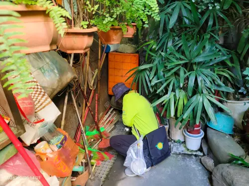 高雄市今年首例！登革熱境外移入案　本國男自印尼返台發病確診
