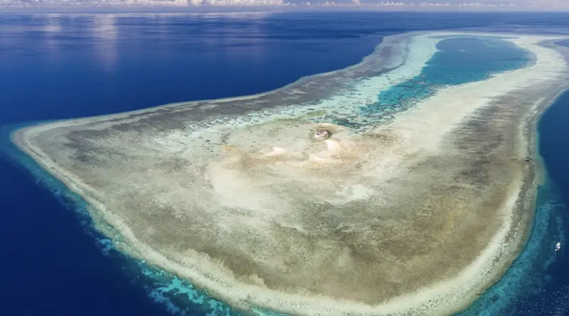 ▲菲律賓海軍規劃在聯合國教科文組織世界遺產「杜巴塔哈礁自然公園」設立監測站。（圖／翻攝自官網）