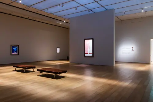 ▲「常玉典藏展」首次聚焦常玉珍稀的「粉紅時期」作品，即日起展出至4 月 20 日。（圖／富邦金控提供）