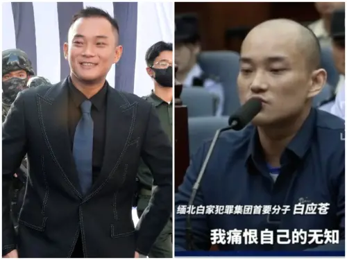 緬北詐騙首腦伏法！當庭淚崩「我痛恨詐騙」　網酸：台詞寫得不錯
