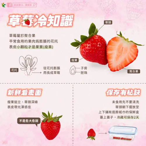 ▲農糧署傳授草莓挑選與保存秘訣：挑選要看瘦果挺立與蒂頭深綠，保存時未食用先別洗、蒂頭朝下冷藏即可保鮮2天。（圖／翻攝自農糧署臉書）