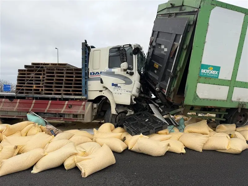 國道三號車禍！大貨車碰撞聯結車　1車翻覆飼料散落一度回堵3公里