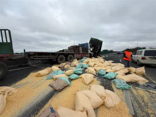 ▲ 國道三號北上157公里處7日早上7時許，自用大貨車與全聯結車疑似碰撞，大貨車翻覆，飼料袋散落占用車道，車流回堵約3公里。（圖／翻攝畫面）