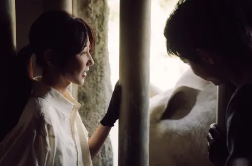 ▲邵雨薇（左）、王柏傑（右）在《動物園》劇中負責照顧白犀牛。（圖／南瓜電影有限公司提供）