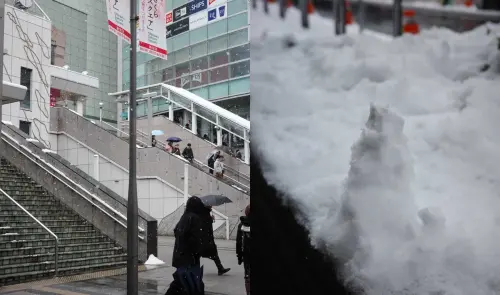 ▲東京地區周日整天最高溫只有4度，入夜將至零下2度，街頭持續出現飄雪，樹木、馬路旁也充滿積雪。（圖為東京街頭／網友張倖真提供）