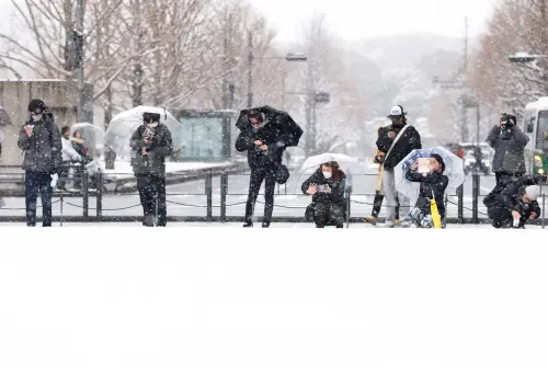 影／日本大選受大雪衝擊！至下午投票率僅16.05％　東京積雪5公分
