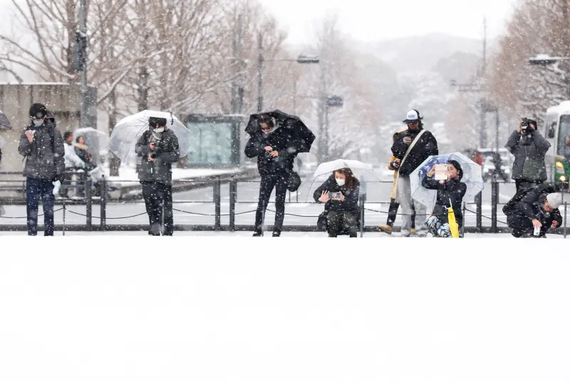 ▲日本眾議院大選今（8）日舉行，受到世紀大雪影響，投票率較低。（圖／路透社／達志影像）