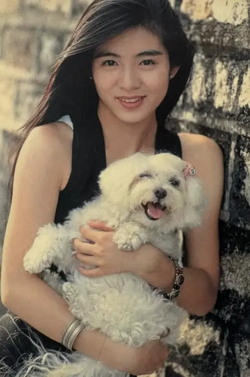 ▲楊采妮曾經是紅遍港台的玉女偶像。（圖／摘自 IG@charlieyoung_523)