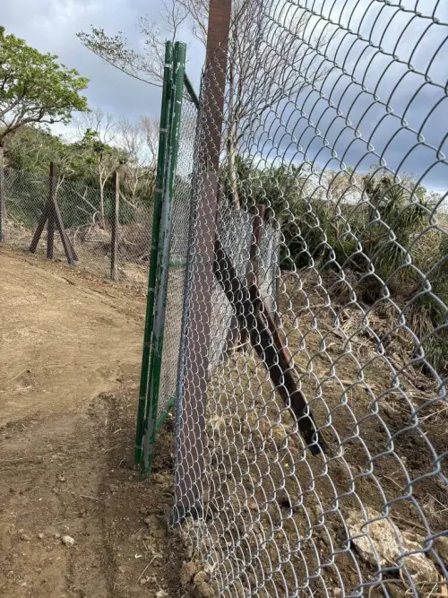 ▲墾管處指出，近年各單位設置防護網，皆已改成較易脫困的菱形鐵絲網。（圖／墾管處）