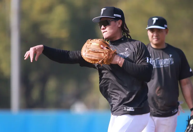 ▲中華隊野手總計14人，內野長打火力是焦點，多位旅外球員搭配本土最強打者張育成，都有望擔任中心打線要角。（圖／記者葉政勳攝）