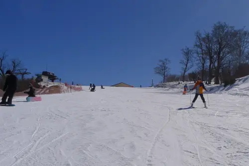 ▲滑雪場滑道對初學者十分友善，因遊客不多也能在此盡情練習。（圖／記者張鴻儀攝）