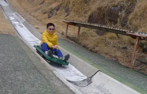 ▲霧島神話之里公園內的溜滑梯，可透過控制桿控制速度，可刺激可安全。（圖／記者張鴻儀攝）