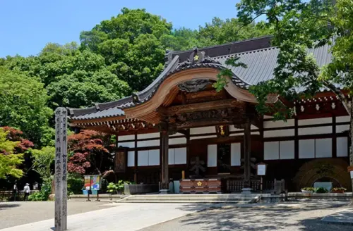 日本Z世代不去澀谷了？「自然界隈」景點受歡迎　3月去東京可來這
