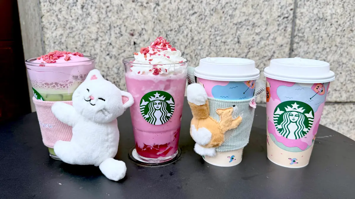 ▲星巴克買一送一最新咖啡優惠，今再折70元foodpanda外送優惠碼。2月11日開賣春櫻新品推薦櫻花杯、柯基屁屁提袋、貓咪裝扮牽手熊寶寶等周邊商品。手搖飲CoCo生椰拿鐵買一送一。（圖／記者蕭涵云攝）