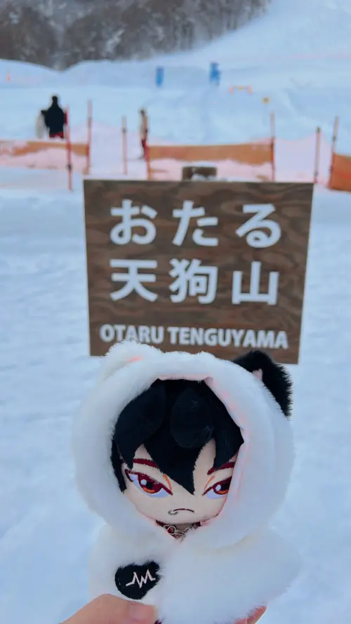 ▲有人會帶自己喜歡的官方角色或偶像相關玩偶出門旅遊，像是偶像一起陪伴遊玩的感覺。（圖／民眾提供）