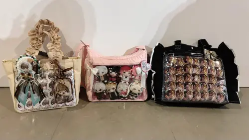 ▲不少民眾會帶有透明窗格的背包，裡頭放喜歡的偶像的娃娃或周邊。（圖／記者徐筱晴攝）