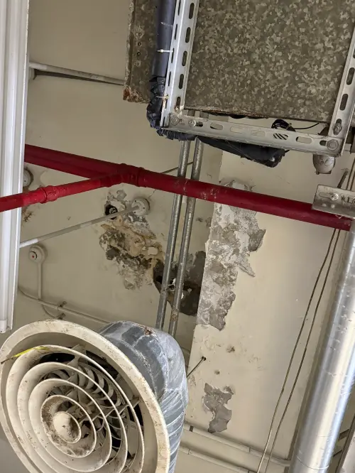 ▲西寧國宅屋齡已高，天花板混凝土剝落、鋼筋外露的情況隨處可見。經耐震評估確認有「海砂屋」疑慮，結構老化成為市府決定拆除重建的關鍵主因。（圖／記者張家瑋攝）