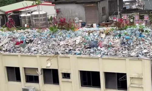 宜蘭礁溪旅店頂樓囤寶特瓶「種菜」！民眾檢舉1年無法開罰原因曝
