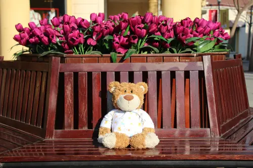 ▲絨毛玩偶屬於不可回收，需丟一般垃圾，建議民眾過年夾娃娃多克制。（圖／取自pixabay）